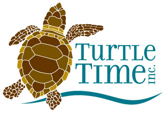 Turtle.Time.Logo