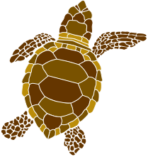 brown-turtle