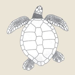 Green Turtle - Turtle Time, Inc.